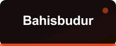 Bahisbudur logo