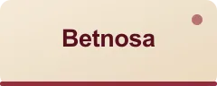 Betnosa logo