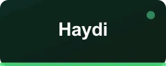 Haydi logosu