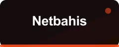 Netbahis logosu