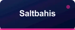 Saltbahis logo