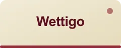 Wettigo logo